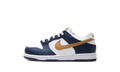 Dunk Low "Navy" FB9108 111